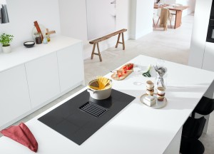 Pelgrim Inductiekookplaat met geïntegreerde afzuiging - Pelgrim