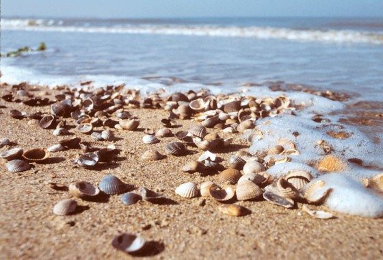 Ecologische vloerisolatie met Isoschelp - Isoschelp