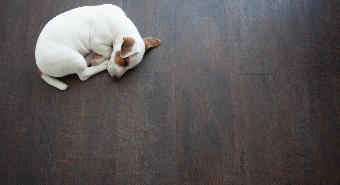 Vloerverwarming: comfortabel met hoog rendement