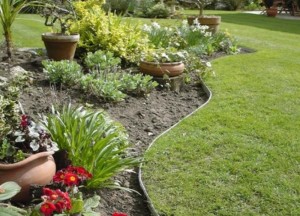 De sleutel tot een bloeiend bloembed - 