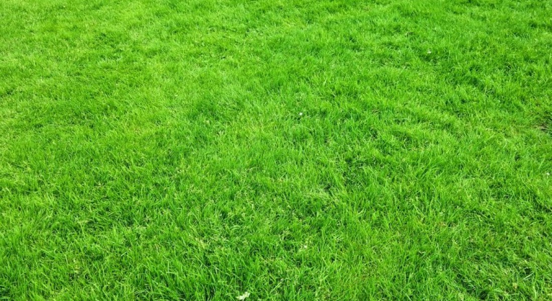 Genieten van een mooie zomer in jouw prachtige tuin!