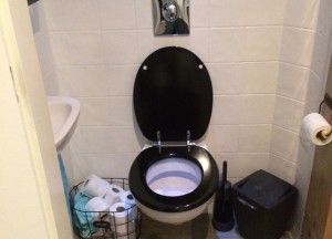 Pimp je saaie toilet - 