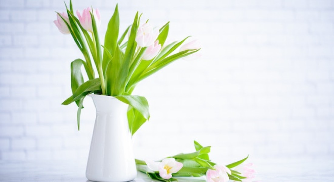 Maak je huis lente proof