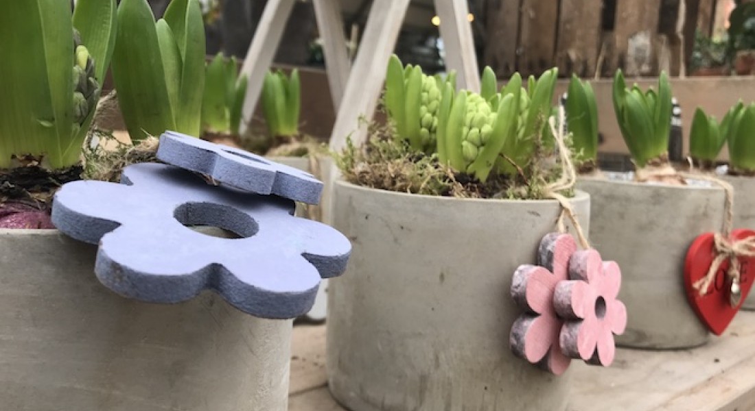 Een frisse start van een nieuw jaar