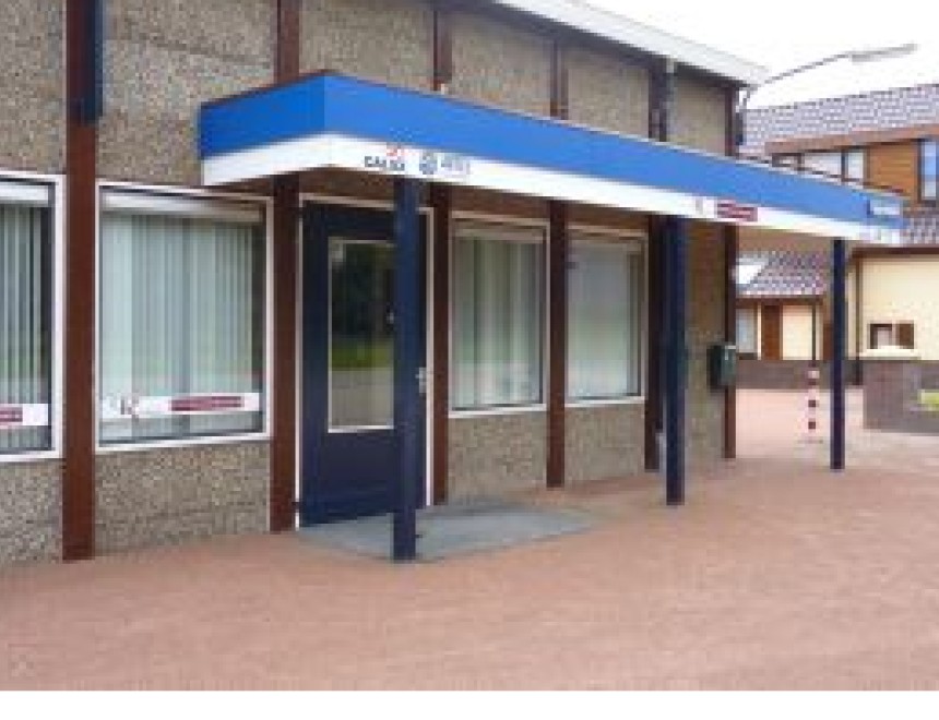 Blue Solid - TOLBERT