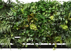 Groene oase met een verticale tuin - 