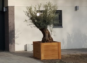 Teakhouten Bloembak | Puurteak - Puurteak tuinmeubelen