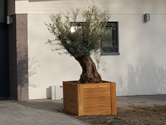 Teakhouten Bloembak | Puurteak