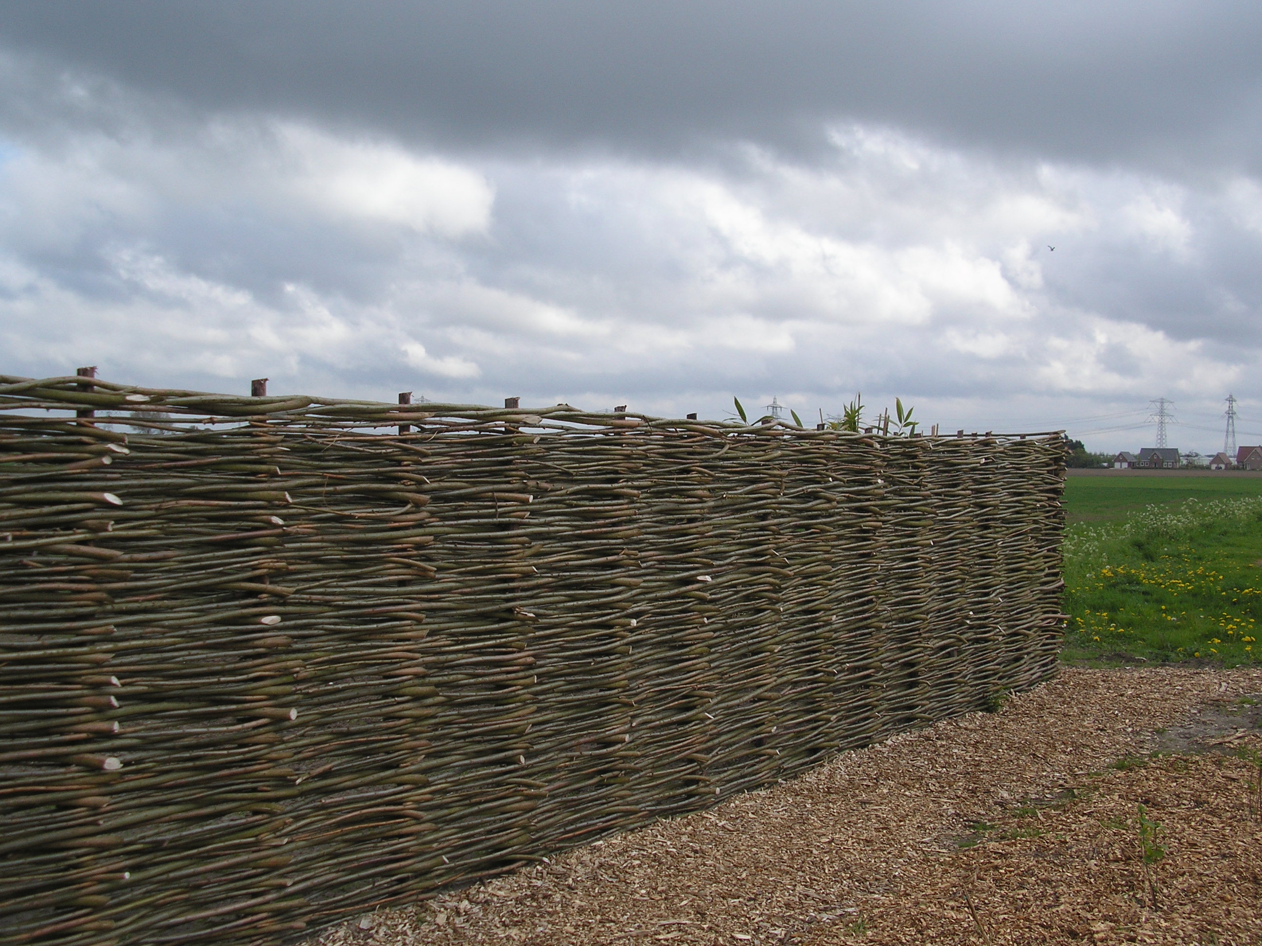 Milieuvriendelijk privacyscherm | Wilhout