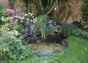 Ontspannen bij je eigen vijver - 