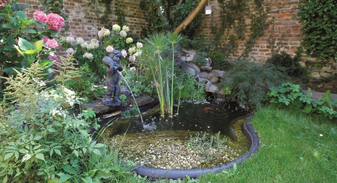 Ontspannen bij je eigen vijver