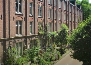 Groene dromen voor stadbewoners - 