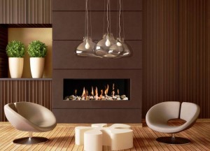 Gesloten gashaarden | Trimline Fires