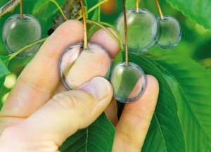 De praktische regenwater opslagtank | ACO House&Garden