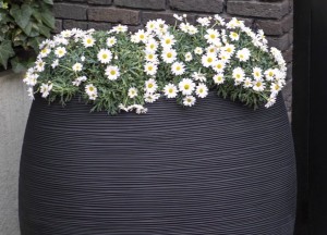 Duurzaam, een regenton in de tuin - 