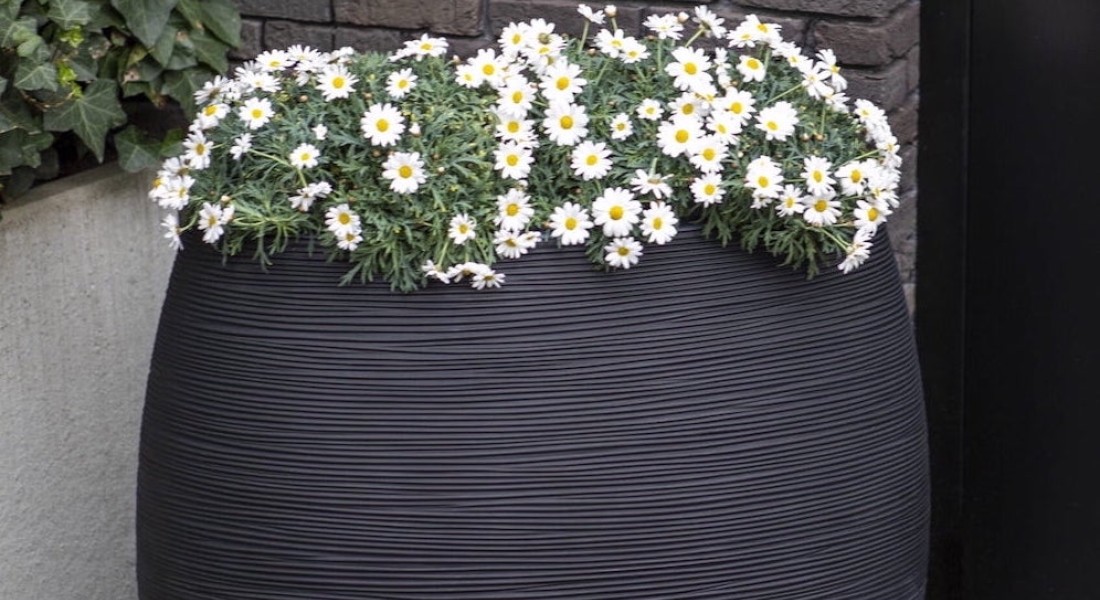 Duurzaam, een regenton in de tuin