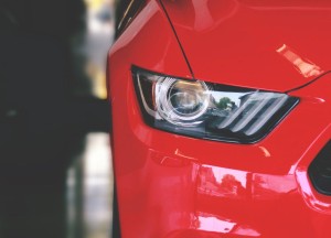 De juiste houtsoort voor je carport kiezen - 