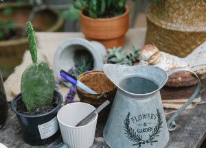 Valkuilen bij het tuinieren - 