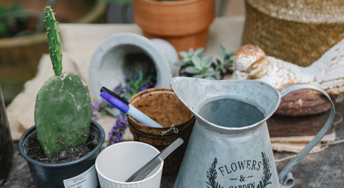 Valkuilen bij het tuinieren