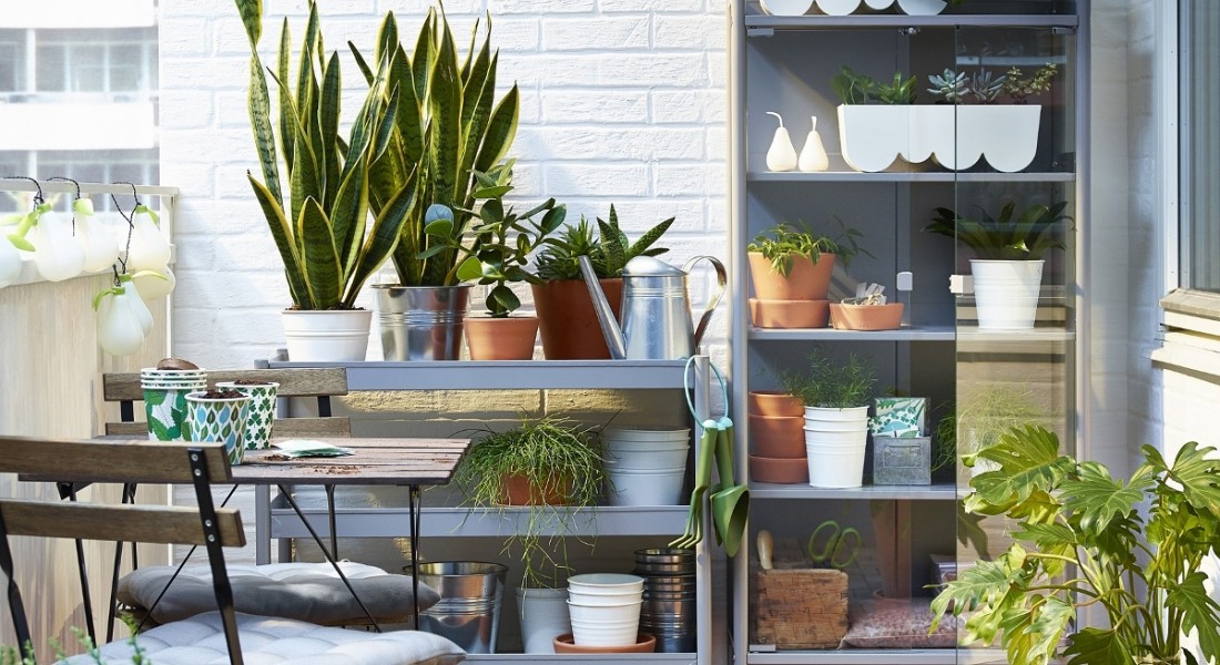 Ikea plantenkas voor balkon of tuin