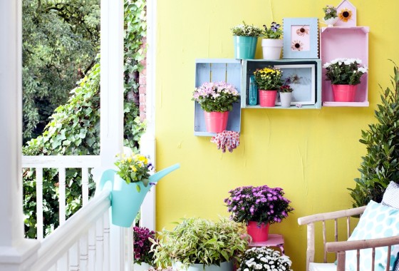 Deze herfst willen we kleur in de tuin! - MBI beton