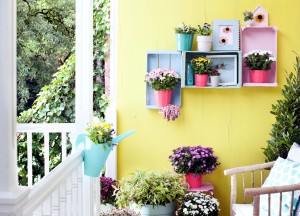 Deze herfst willen we kleur in de tuin! - MBI beton