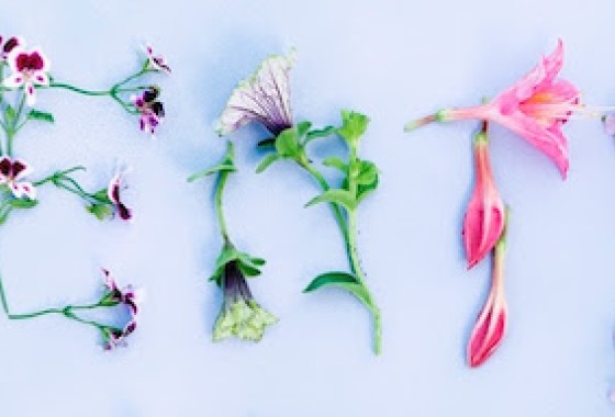 De tuintrends van 2016 - MBI beton