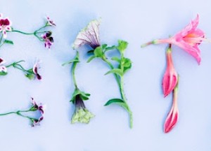 De tuintrends van 2016 - MBI beton