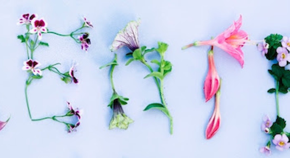 De tuintrends van 2016