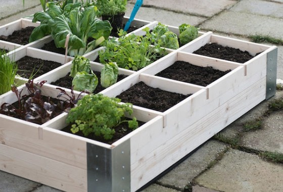 Groenten uit eigen tuin - MBI beton