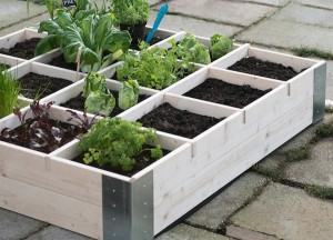 Groenten uit eigen tuin - MBI beton