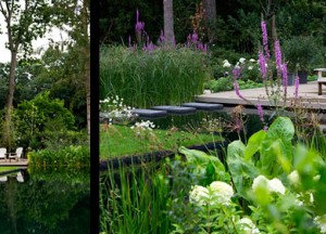Tuin met prijswinnende ecologische zwemvijver - Arie tuinarchitectuur