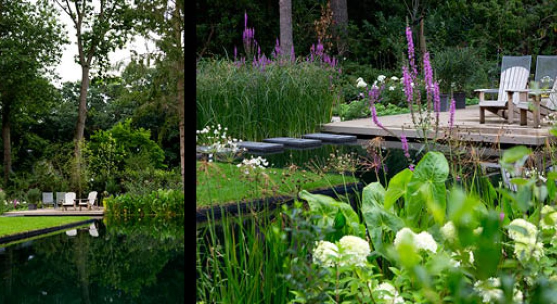 Tuin met prijswinnende ecologische zwemvijver