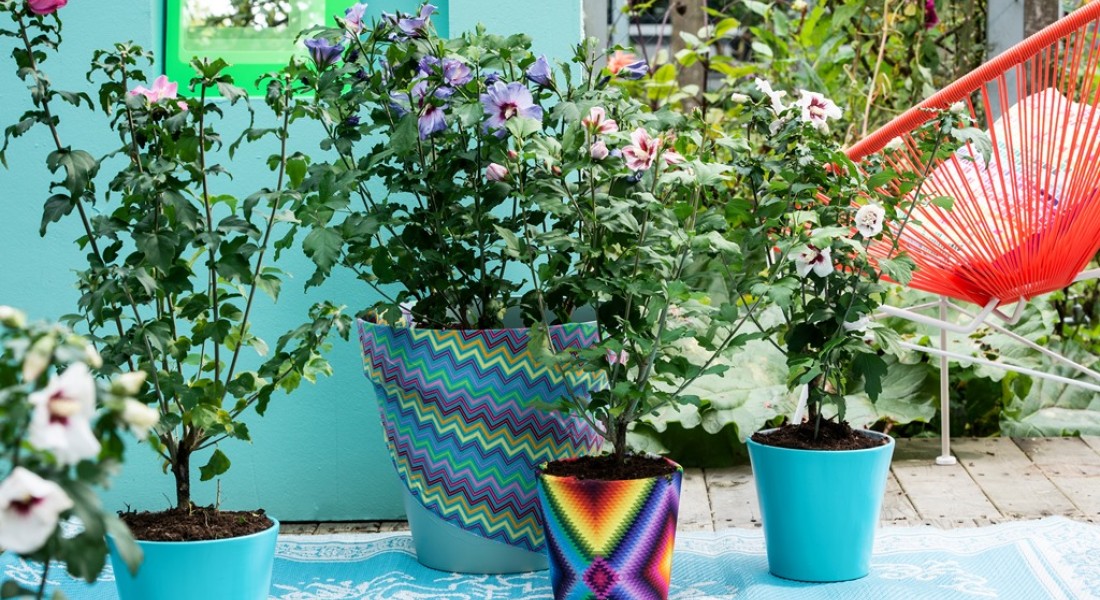 Trends voor balkon & terras