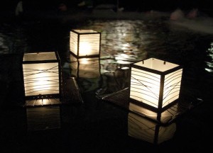 Duurzame drijvers: licht in de vijver - 