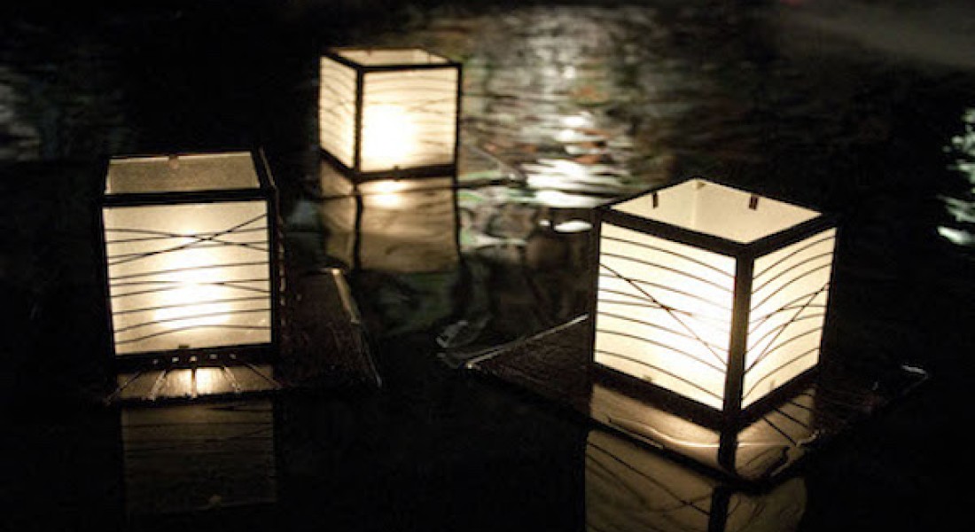 Duurzame drijvers: licht in de vijver