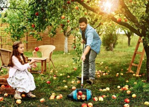 Fruit rapen zonder plukken - 