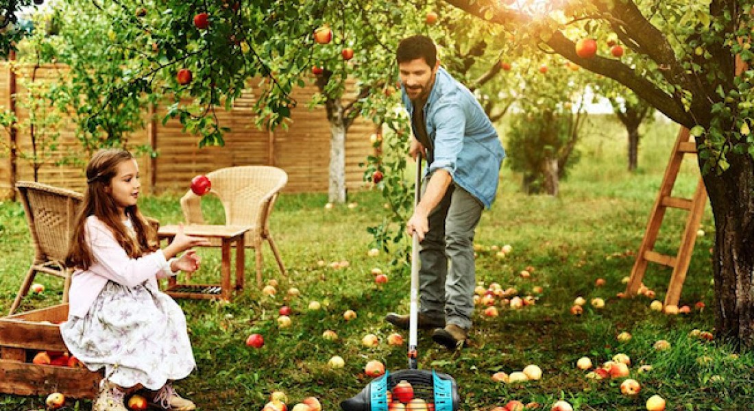 Fruit rapen zonder plukken