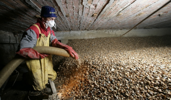 Isolatie kruipruimte | Isoschelp