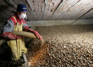 Isolatie kruipruimte | Isoschelp - Isoschelp