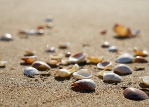 Isolatie kruipruimte | Isoschelp