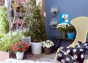 4 x Trends voor de herfsttuin - 