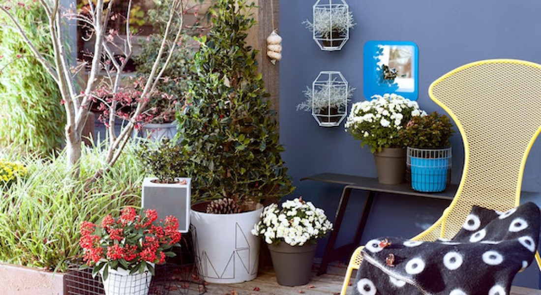 4 x Trends voor de herfsttuin