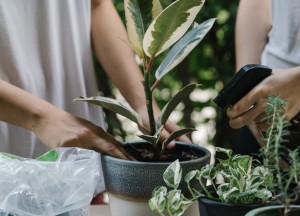 Goede potgrond en mest overbodig? Daar denken wij anders over - 