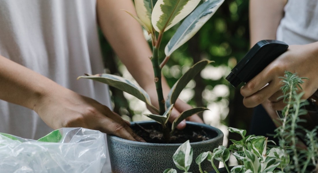 Goede potgrond en mest overbodig? Daar denken wij anders over