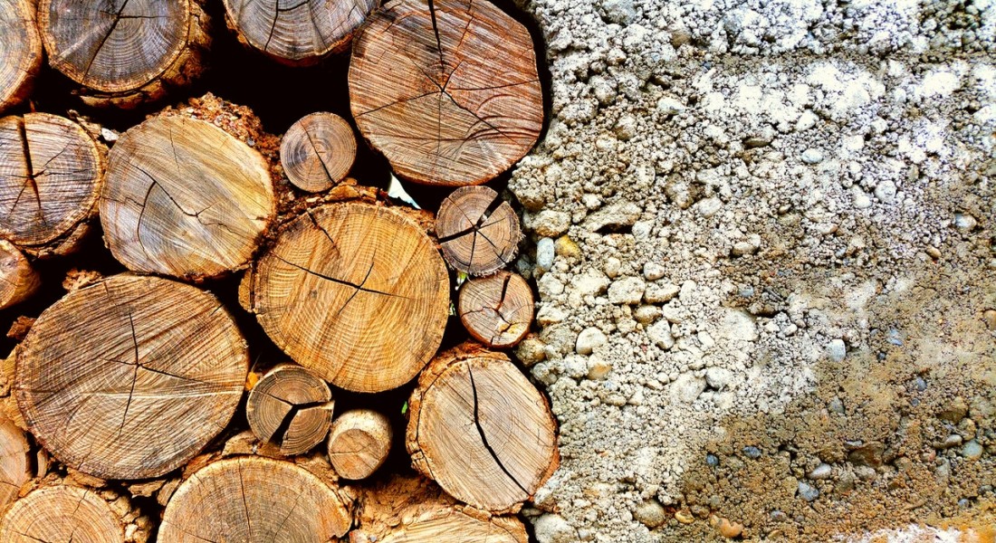 Zo kun je het beste je haardhout opslaan!