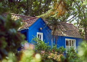 Beveilig jouw tuinhuis - 