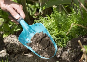 Grote handschep is ideaal tuingereedschap - 