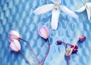 Kleurrijke klimmer aan de muur - 