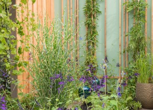 Tuintrends waar ook de bijen van houden - 